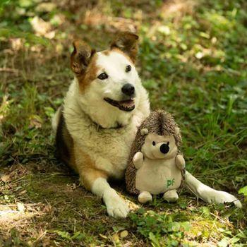 Heston Hedgehog Plush Dog Toy