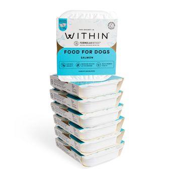 Within Grain Free Complete Adult Dog Food Salmon 2x150g