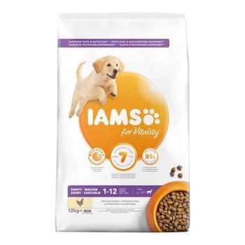 Iams puppy large breed best sale