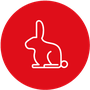 Small Pets