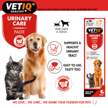 VetIQ Urinary Care paste for Cats and Dogs 100g