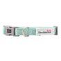 Doodlebone Dinky Dog Collar Mint 3-6