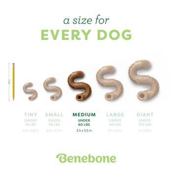 Benebone Tripe Bone Dog Toy Medium