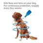 Beaphar FIPROtec Spot-On Flea & Tick Treatment for Small Dogs 2-10kg, 4 Pipettes