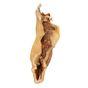 Jollyes Natural Beef Skin Dog Chew, 8 Inch