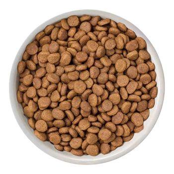 Nature's Variety Selected Dry Adult Sterilised Cat Free Range Chicken Cat Food 300g