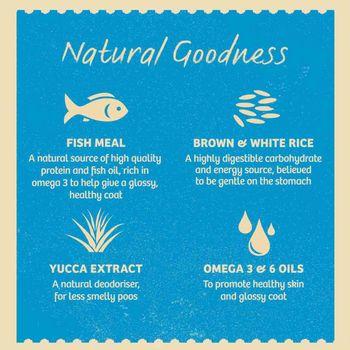 James Wellbeloved Dog Junior Fish & Rice