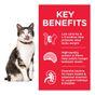 Hill's Science Plan Feline Mature Adult 7+  Light Chicken 1.5kg