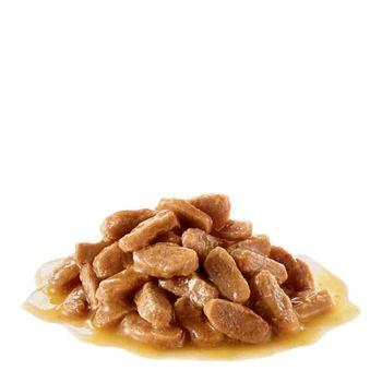 Royal Canin Wet Dog Food Mini Puppy in Gravy 85g