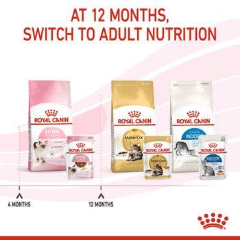 Royal Canin Kitten Pouch Multipack in Gravy 48x85g