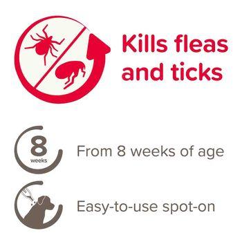 Beaphar FIPROtec Spot-On Flea & Tick Treatment for Small Dogs 2-10kg, 4 Pipettes