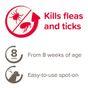 Beaphar FIPROtec Spot-On Flea & Tick Treatment for Small Dogs 2-10kg, 4 Pipettes
