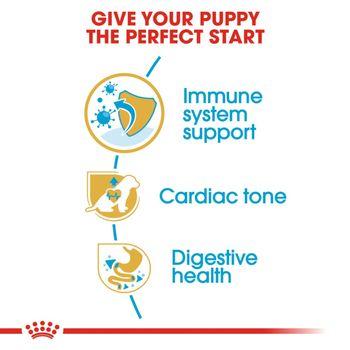 Royal Canin Cavalier King Charles Dry Dog Food 1.5kg