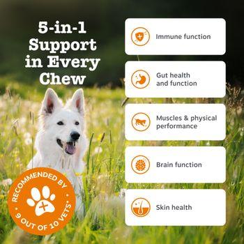 Zesty Paws 5-in-1 Multivitamins for Dogs