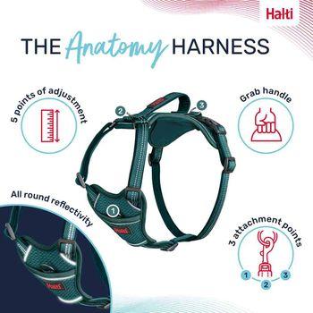 Halti Anatomy Dog Harness Teal Large