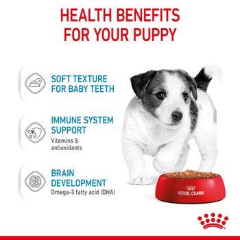 Royal Canin Puppy Small Breed Wet Dog Food in Gravy 48x85g