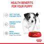 Royal Canin Puppy Small Breed Wet Dog Food in Gravy 48x85g