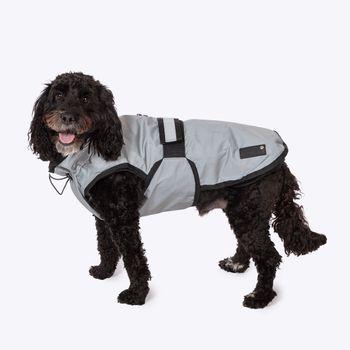 Danish Deisgn 3-in-1 Dog Coat Light Reflective S (33cm)