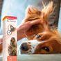Beaphar Ear Cleaner for Cats  & Dogs, 50ml