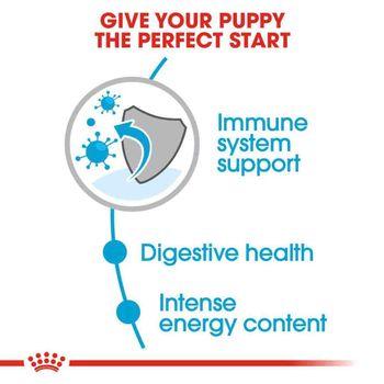 Royal Canin Dry Dog Food Mini Puppy 8kg