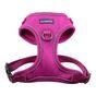 Doodlebone Trendy Tails Stomp Dog Harness Purple 4-7