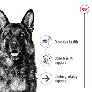 Royal Canin Dry Dog Food Maxi Ageing 8+ 15kg
