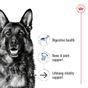 Royal Canin Dry Dog Food Maxi Ageing 8+ 15kg