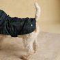 Joules Blackwatch Check Packaway Small Dog Coat