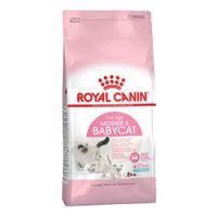 Royal Canin Mother & Babycat 4kg, Dry Kitten Food