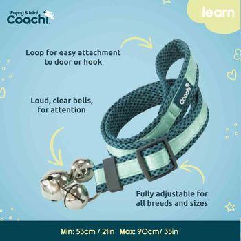 Coachi Puppy & Mini Toilet Training Bells Teal & Mint