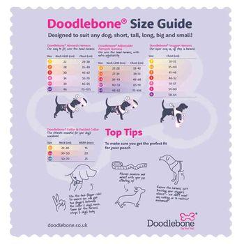 Doodlebone Trendy Tails Padded Dog Collar Green 6-11