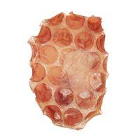 Jollyes Beef Frisbee Dog Chew