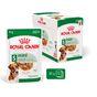 Royal Canin Adult Dog Small Breed in Gravy 48x85g