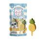 Pup Ice Fruity Lolly Pineapple Dog Treat 2 Pack 90g