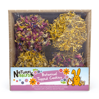 Natures Grub Natural Nibbles Botanical Topped Cookies 4pk