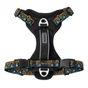 Neerdog Go-B-Bold Airflow Dog Harness-Hollyhock Large