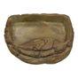 ProRep Small Tortoise Pool