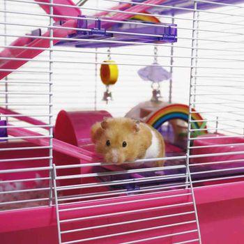 Boredom Breaker Small Rainbow Play Bridge