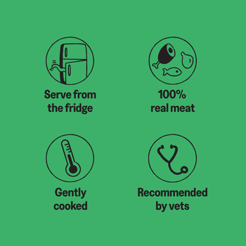 KatKin QUACK Fresh Cat and Kitten Food (Duck + Chicken) 1x80g