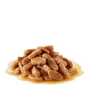 Royal Canin Wet Dog Food Maxi Puppy in Gravy 140g