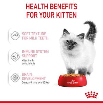 Royal Canin Kitten Pouch Multipack in Jelly 48x85g