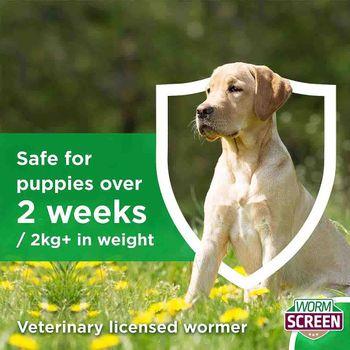 WORM SCREEN for Dogs Dog Wormers