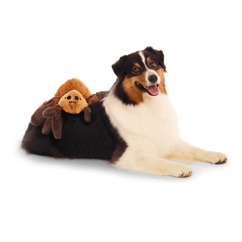 Bark Aragog Harry Potter Dog Toy