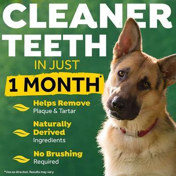 Tropiclean Fresh Breath No Brushing Oral Care Gel for Dogs 118ml