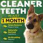Tropiclean Fresh Breath No Brushing Oral Care Gel for Dogs 118ml