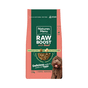 Natures Menu Raw Boost Beef Dog Food 1.5kg