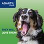 Adaptil Calm Tasty Dog Chew 30 Pack 