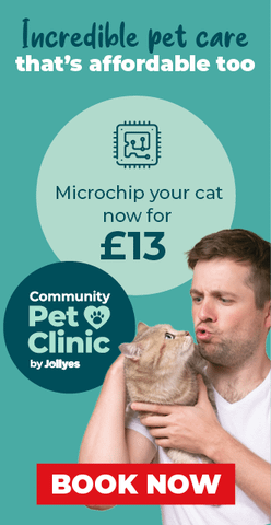 Category Promotion Image