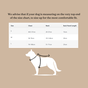 Neerdog Go-B-Bold Airflow Dog Harness Hollyhock Small