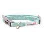 Doodlebone Dinky Dog Collar Mint 0.5-1